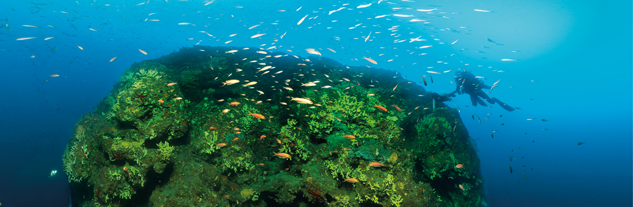 substrat rocheux dans la zone Natura 2000 Estérel en Méditérranée