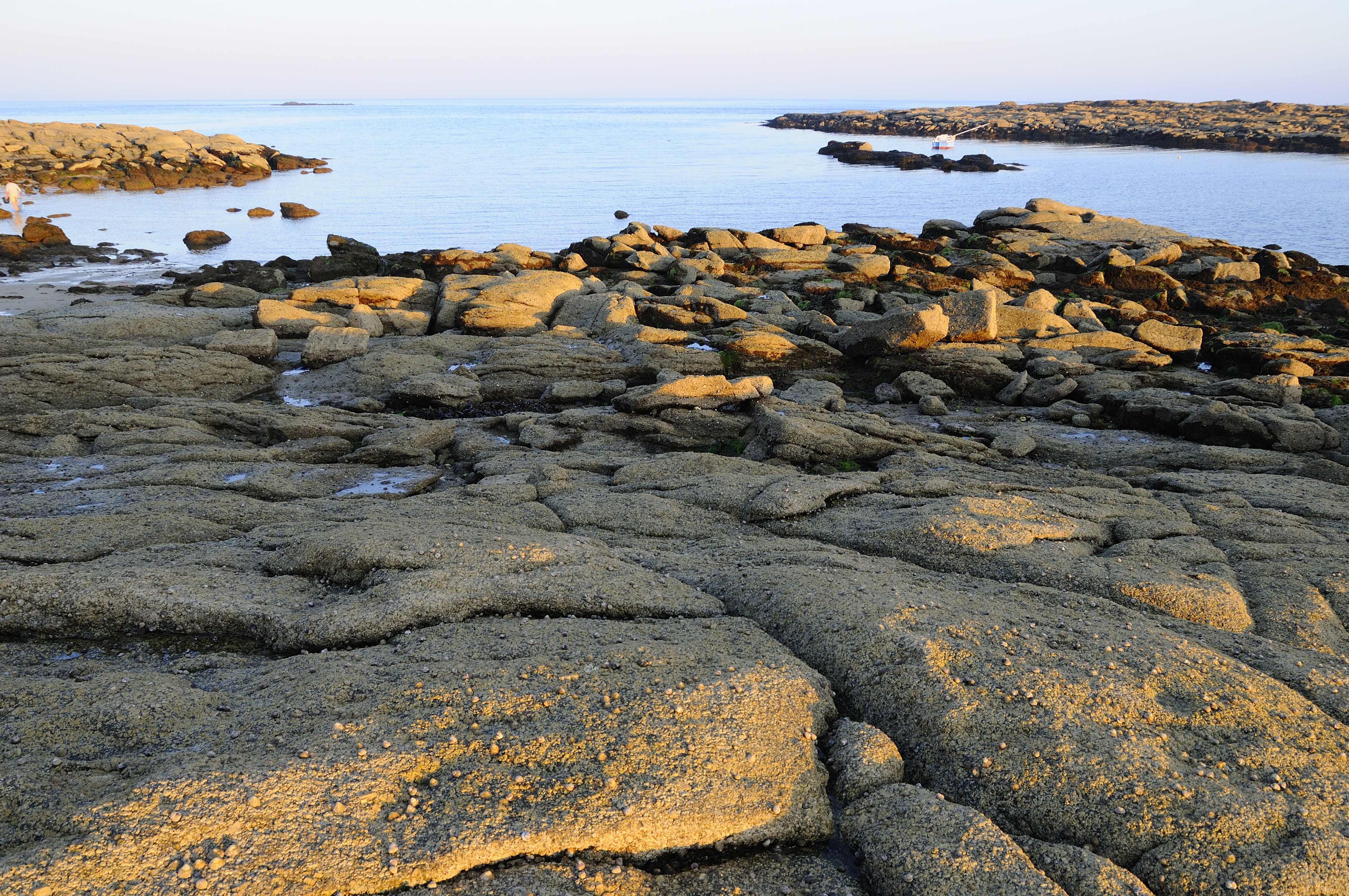 Côte rocheuse dans le site Natura 2000 Récifs et marais arrière-littoraux du Cap Lévi à la Pointe de Saire | Crédit: Yves Gladu / Agence française pour la biodiversité