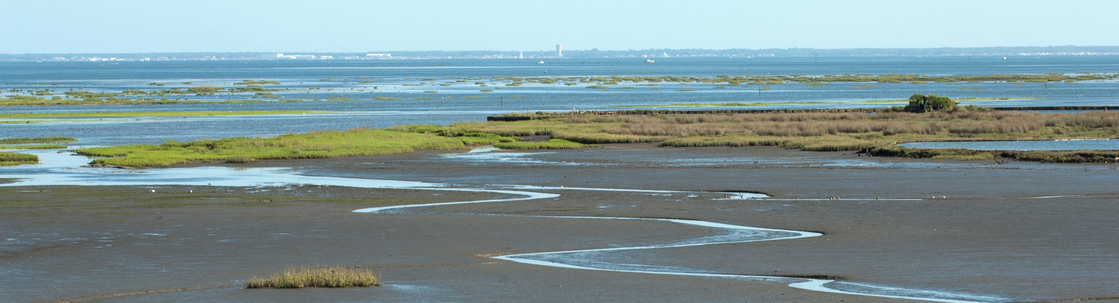 Prés salés et vasières dans le Parc naturel marin Bassin d'Arcachon| Crédit : Laurent Mignaux / Terra