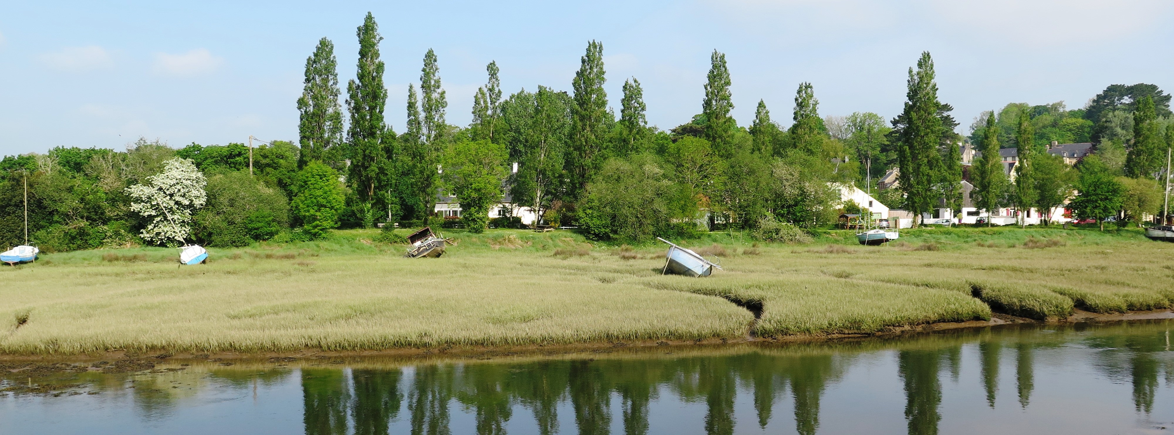 Epaves en rade de Brest | Crédit : Alain Pibot / Office français de la biodiversité