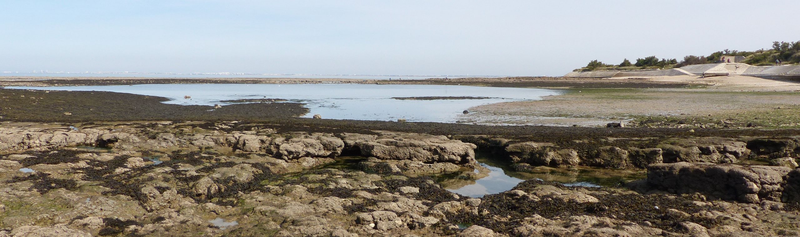 Champs de blocs dans le Parc naturel marin de l’estuaire de la Gironde et de la mer des Pertuis | Crédit : Amandine Eynaudi / Office français de la biodiversité