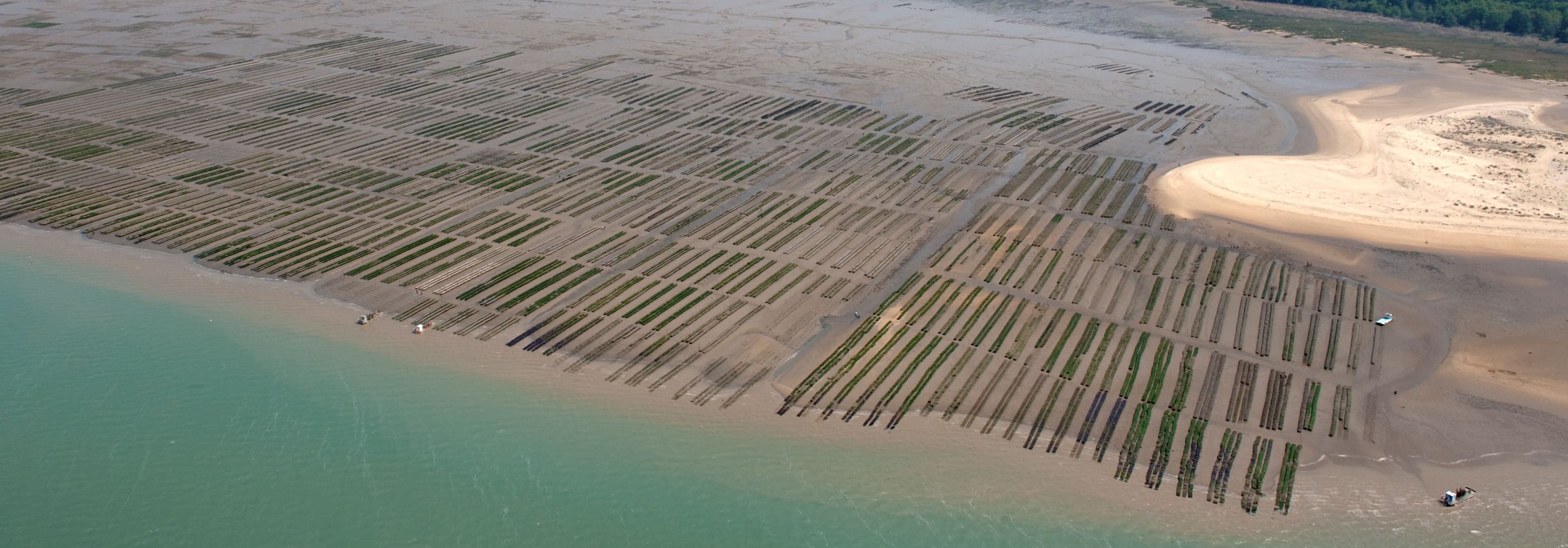 Parc ostréicole dans le Parc naturel marin de l’estuaire de la Gironde et de la mer des Pertuis | Crédit : Laurent Mignaux / Terra