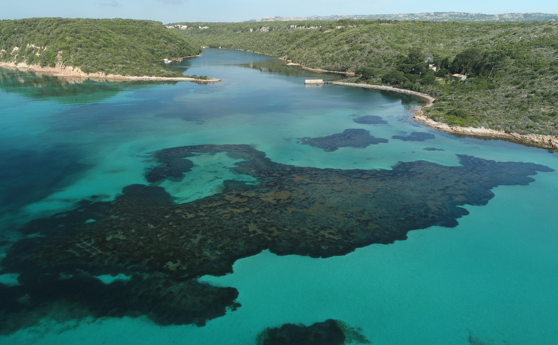 Récif barrière Sant Amanza en Corse du Sud | Crédit : GIS Posidonie