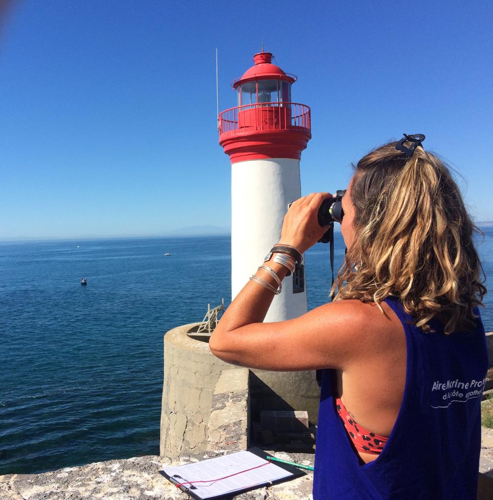 Suivi de fréquentation ZPF Brescou | Crédit : Aire marine protégée de la côte agathoise