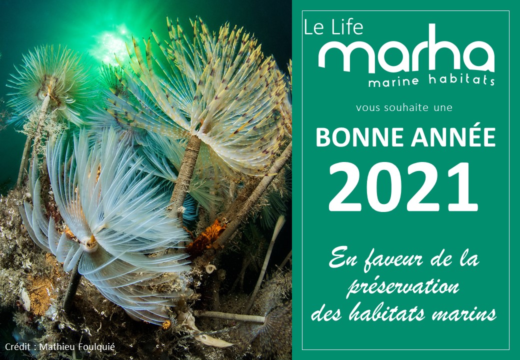 Voeux 2021