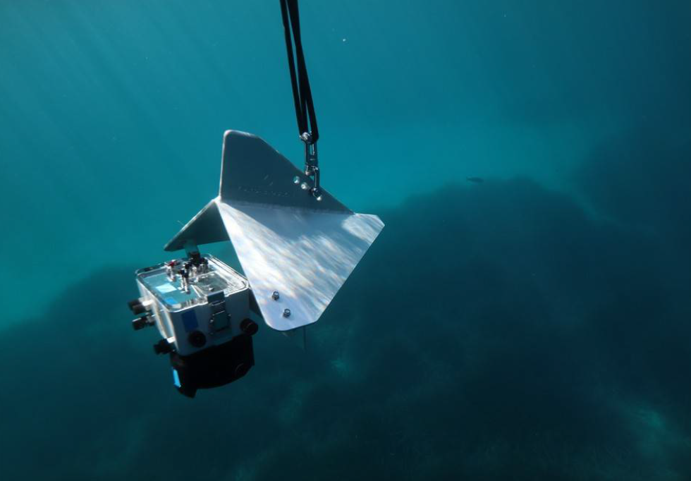 L'aile métallique sous-marine de Seaviews équipée d'un appareil photo |Crédit : A. Abadie/Seaviews 