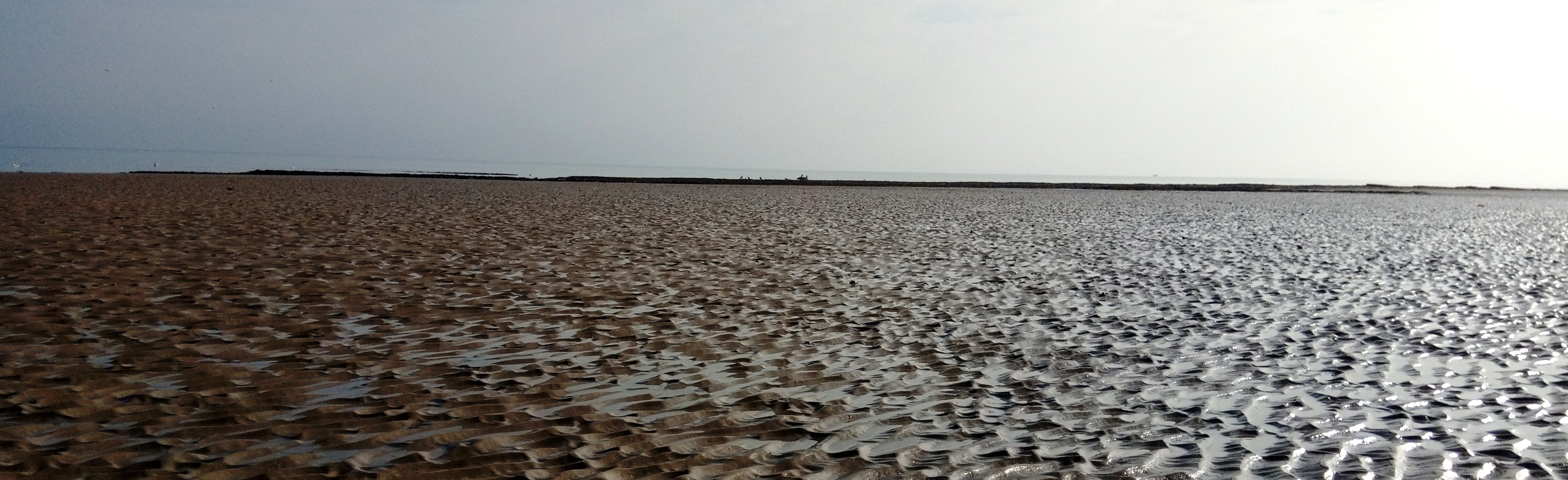 Habitat sableux de Réserve Naturelle du Cap Romain | Crédit : Alain Pibot / Office français de la biodiversité