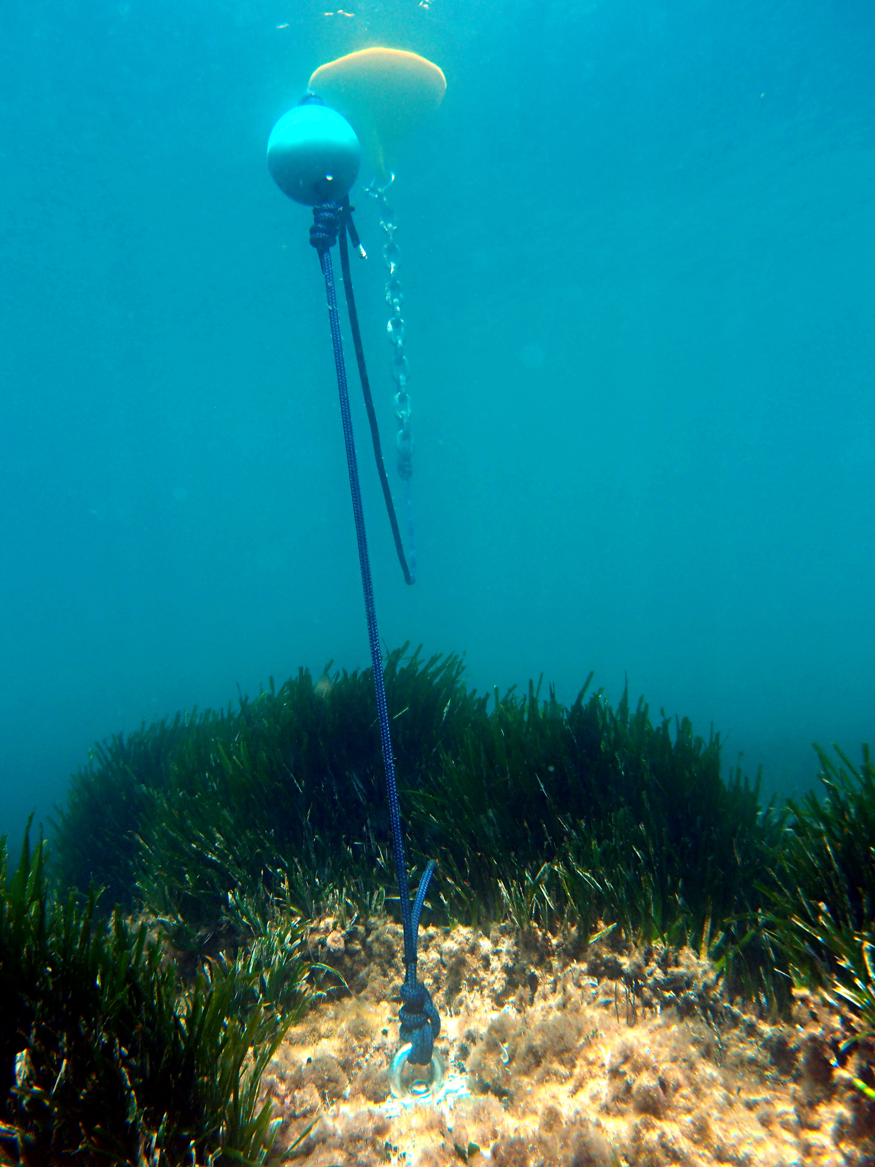 Mouillage écologique du balisage dans le site Natura 2000 Côte bleue marine | Crédit : Parc marin de la côte bleue