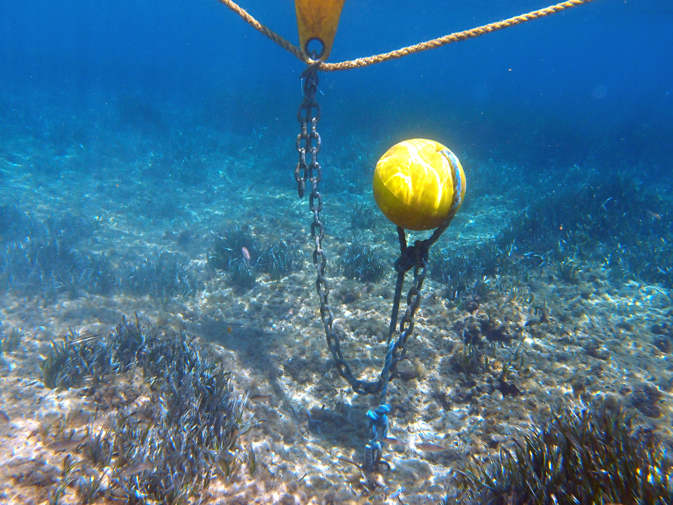 Mouillage écologique du balisage dans le site Natura 2000 Côte bleue marine | Crédit : Parc marin de la côte bleue 2