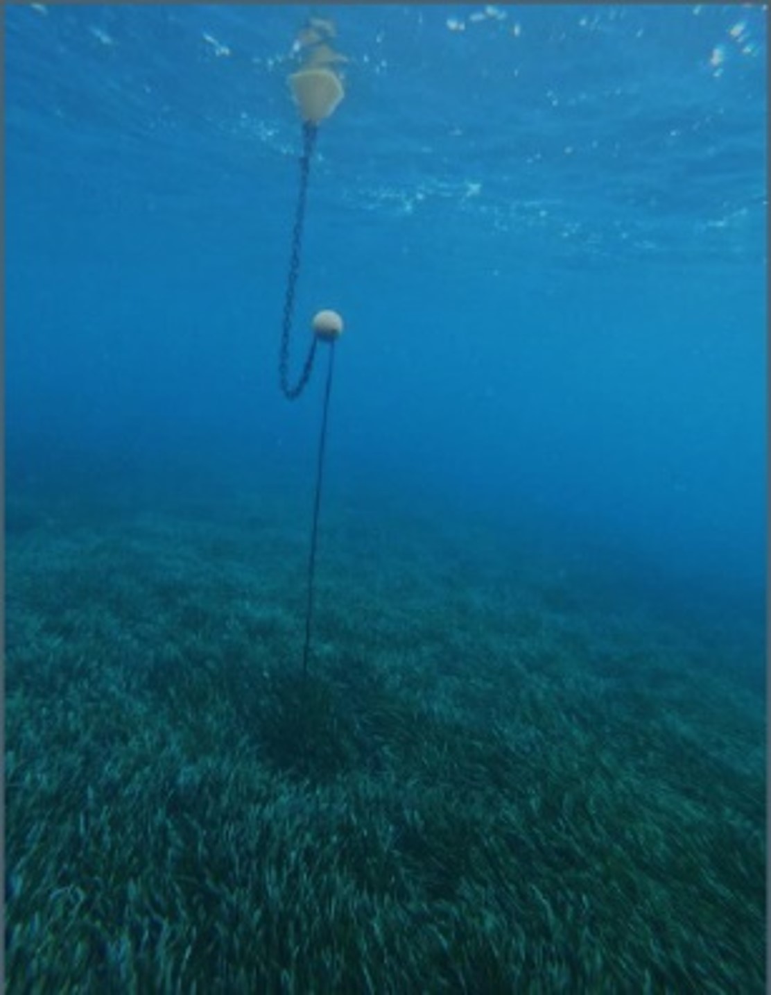 Balise écologique en baie de la Ciotat 