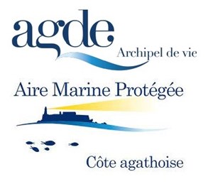 Logo Agde et AMP