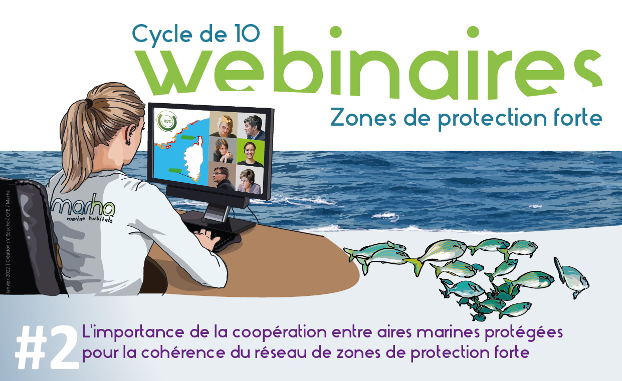 webinaire ZPF 02