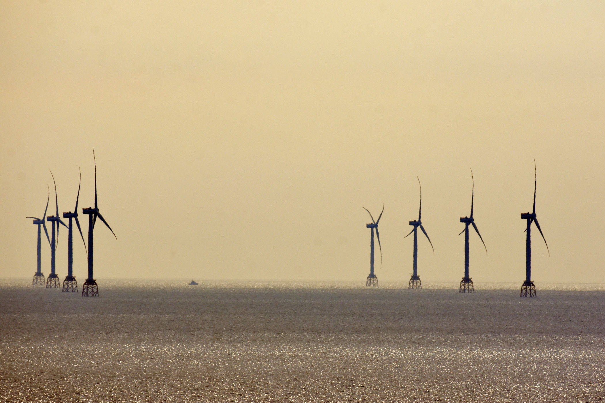 Champ d'éoliennes en mer "Beatrice", au nord-est de l'Ecosse | Crédit : Benjamin Guichard / Office français de la biodiversité