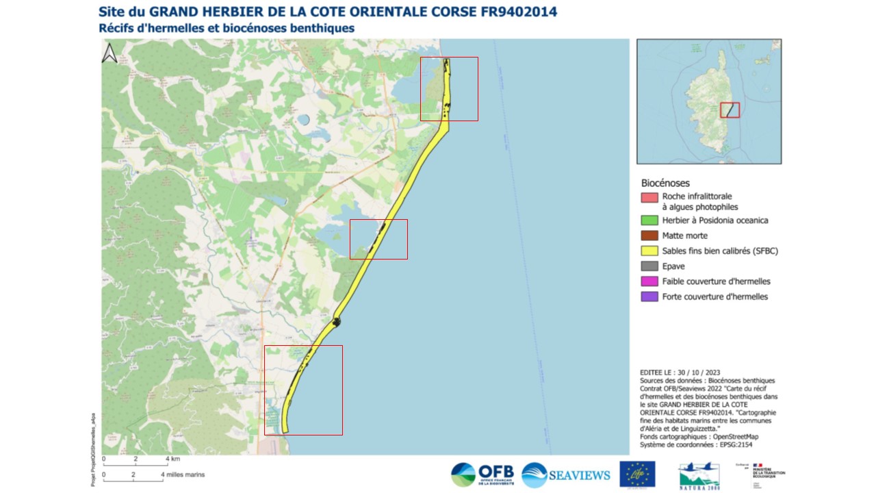 cartographie hermelles - site Natura 2000 grand herbier côte orientale Corse - ©SeaViews-Life Marha - OFB