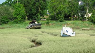 Epaves en rade de Brest (carré) | Crédit : Alain Pibot / Office français de la biodiversité