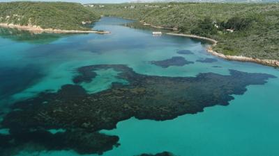 Récif barrière Sant Amanza en Corse du Sud | Crédit : GIS Posidonie