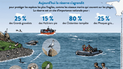 Les chiffres clés de la RNNI