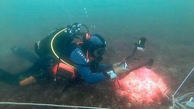 Suivi participatif maerl en rade de Brest |Crédit : Alain Gastrin