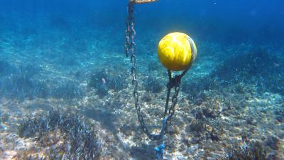 Mouillage écologique du balisage dans le site Natura 2000 Côte bleue marine | Crédit : Parc marin de la côte bleue 2