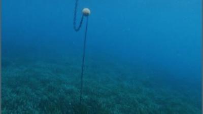 Balise écologique en baie de la Ciotat 