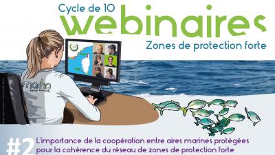 webinaire ZPF 02