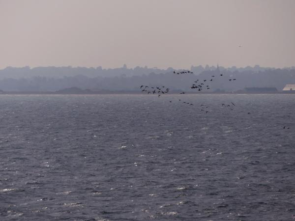 Baie de Seine Occidentale 