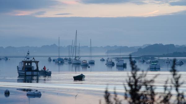 Petit matin d'hiver dans le fond du golfe du Morbihan.