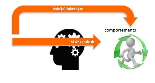 processus de décision