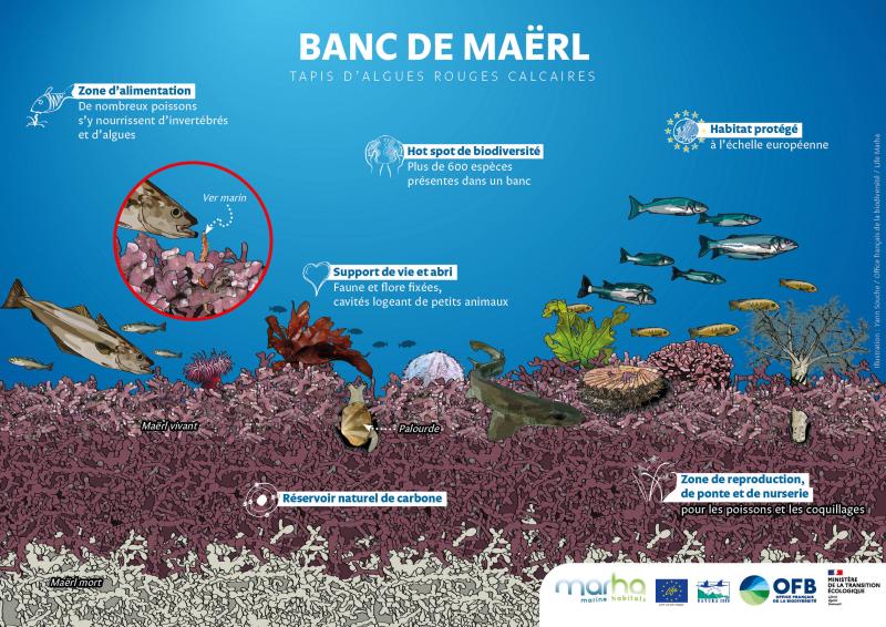 Figure 3 : illustration avec annotations et logo pouvant être utilisée comme affiche avec le logo de votre structure